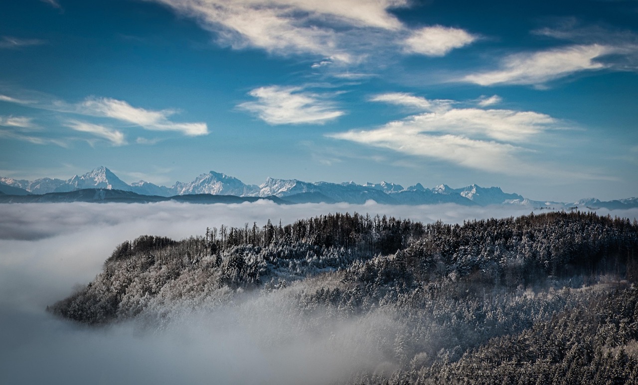 Blue Ridge mountains forest mist