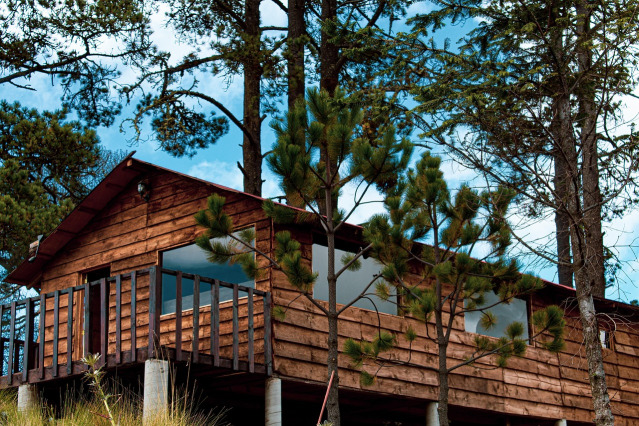 cabin in woods