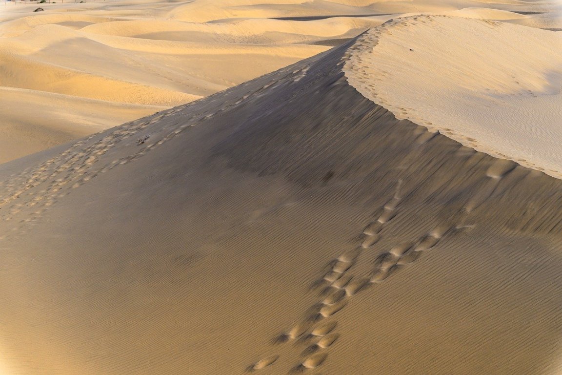 Cape Hatteras seashore dunes