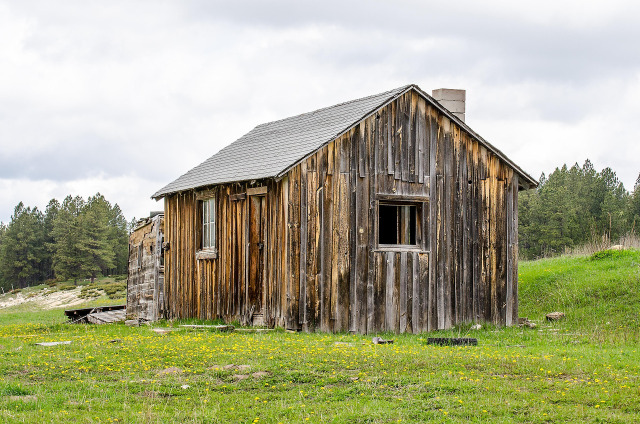 cabin exterior near forest